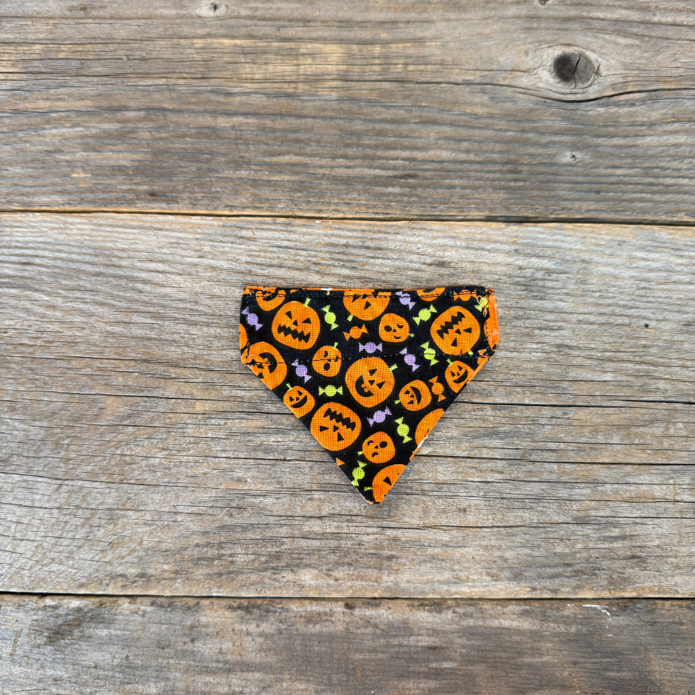 Cat Bandanna - Bat-Tastic & Pumpkin Pals