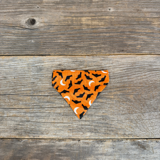 Cat Bandanna - Bat-Tastic & Pumpkin Pals