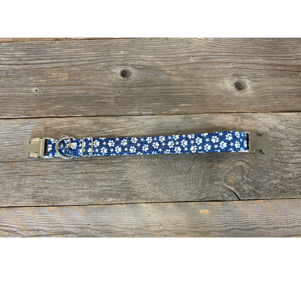 Paw-ty in the U.S.A.-Dog Collar