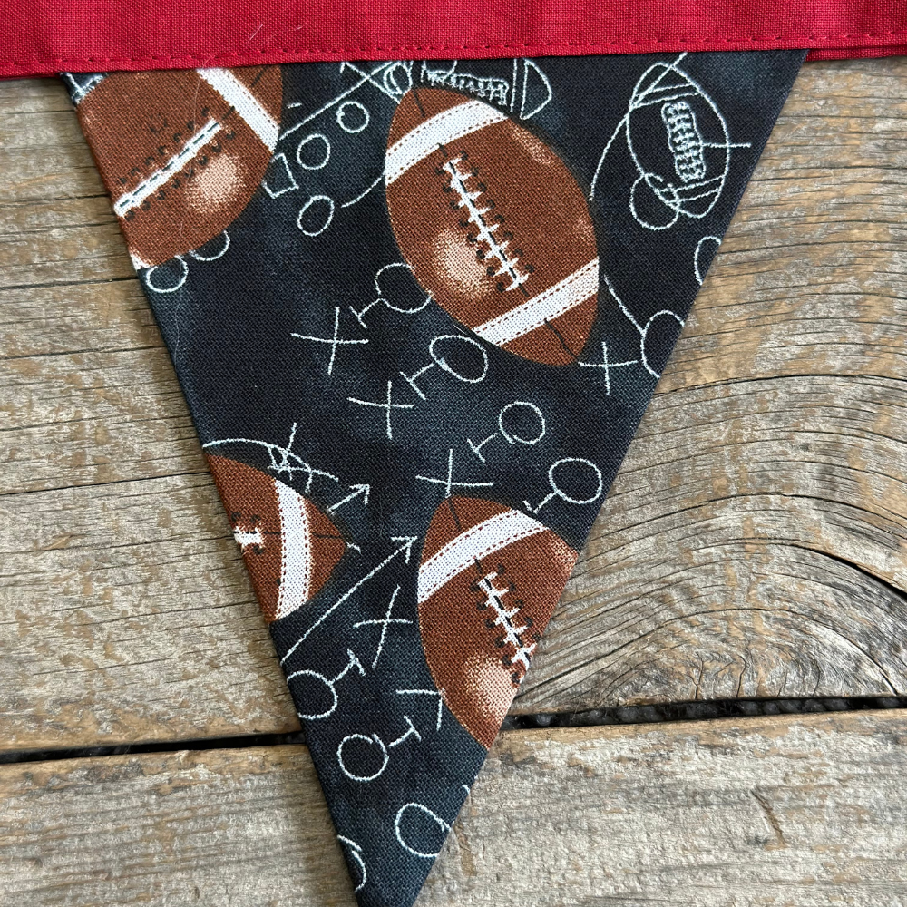 49ers Football Banner