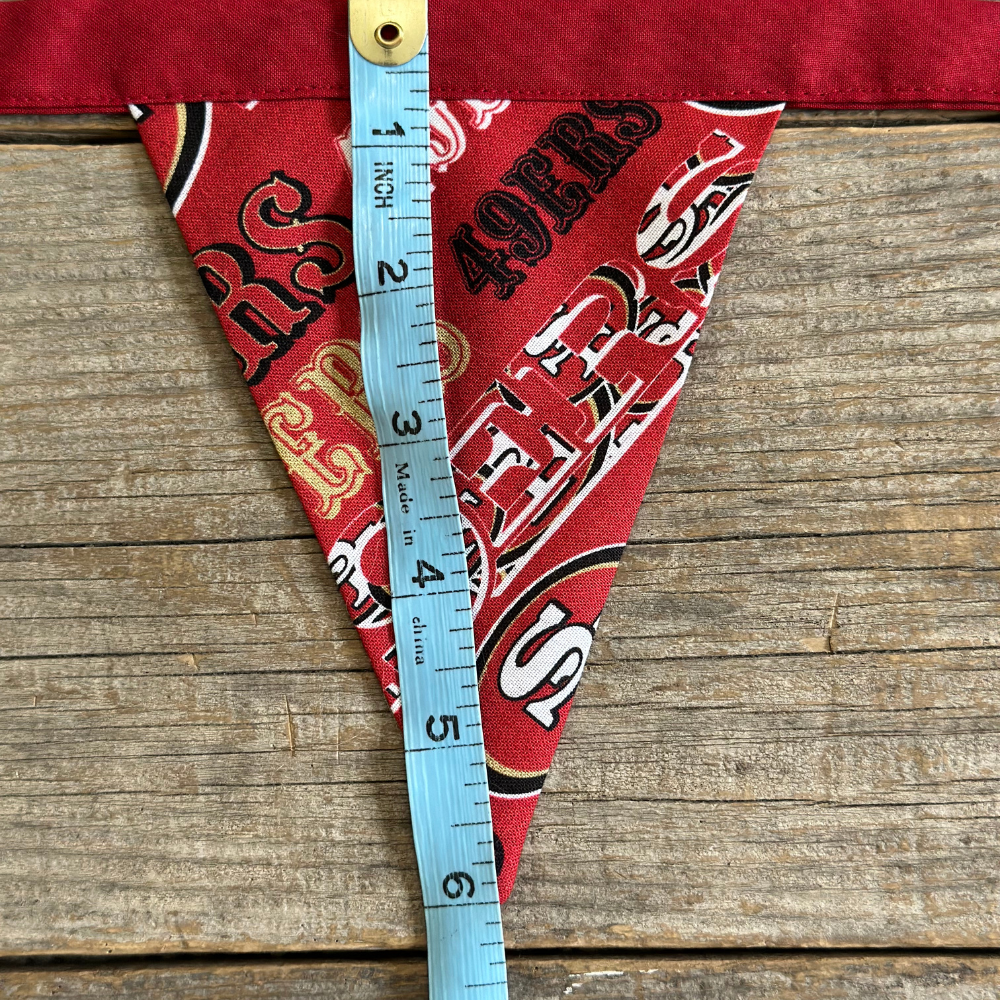 49ers Football Banner