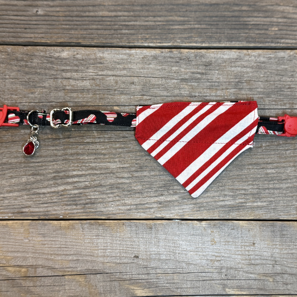 Cat Bandanna - Barky Cane
