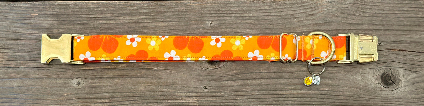Island Time -Dog Collar