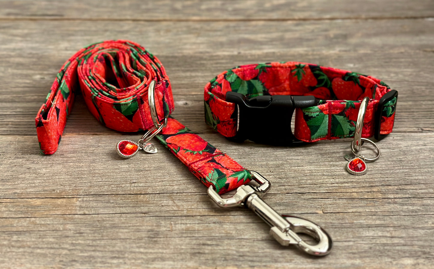 Berrylicious -Dog Collar