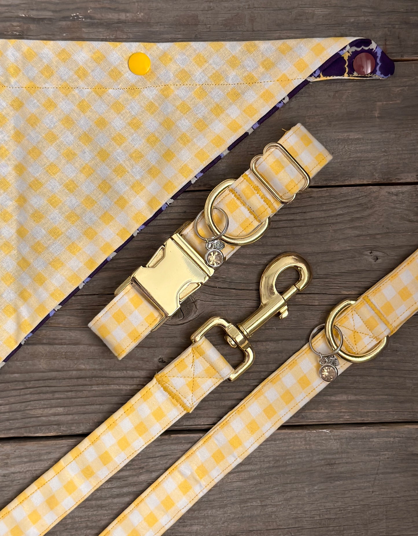 Lemon Drop -Dog Leash