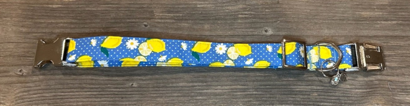 Limoncello -Dog Collar