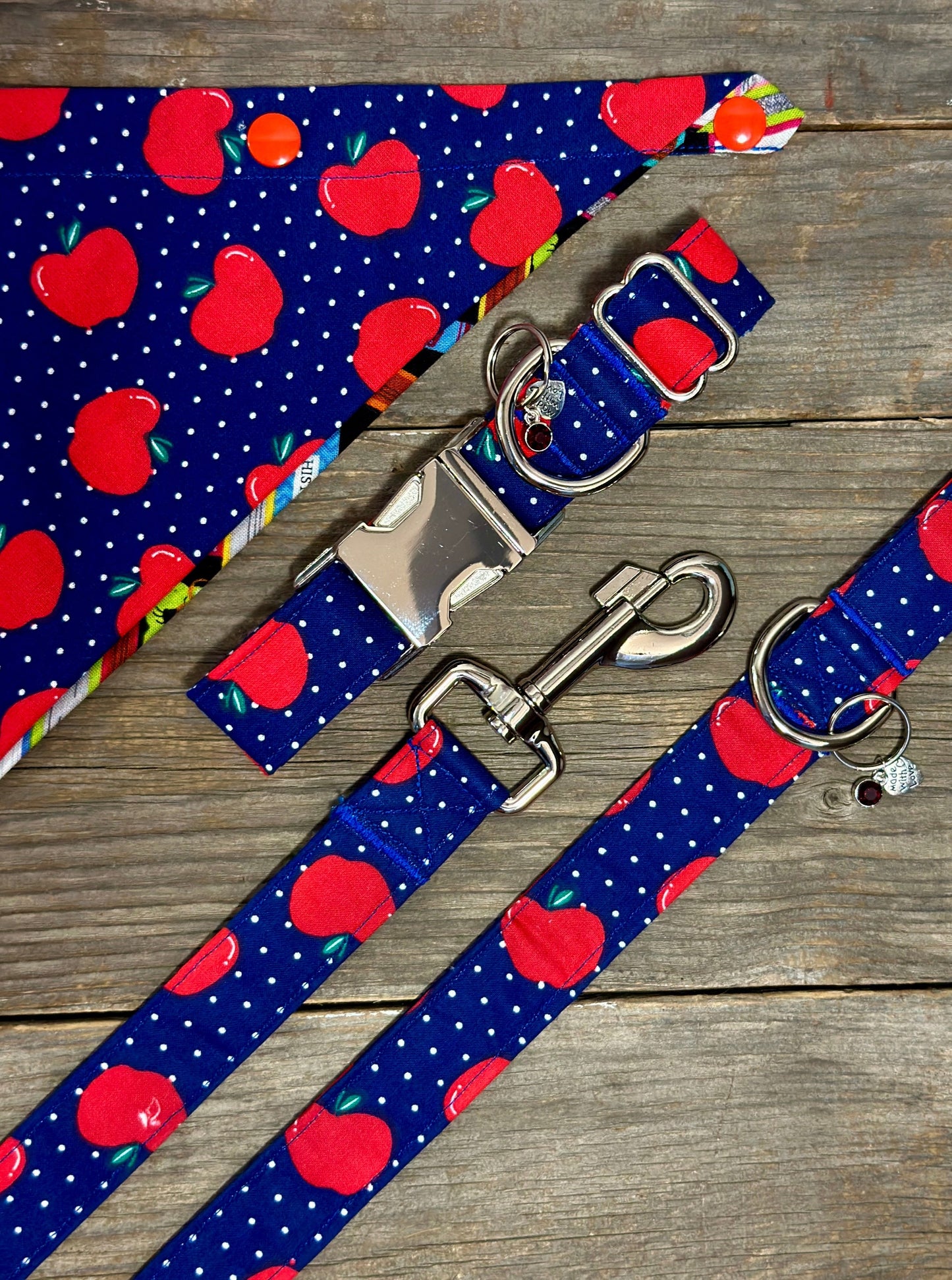 Double-Sided Dog Bandanna - Teacher’s Pet & Bookworm
