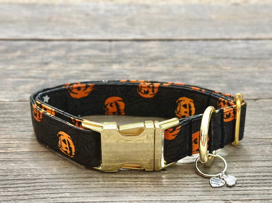 Pumpkin Palooza -Dog Collar