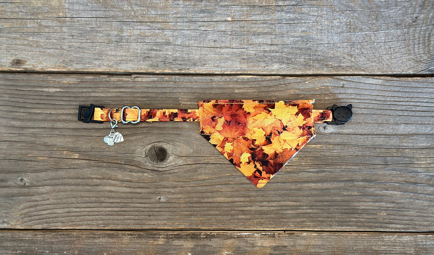 Rake It In - Cat Collar