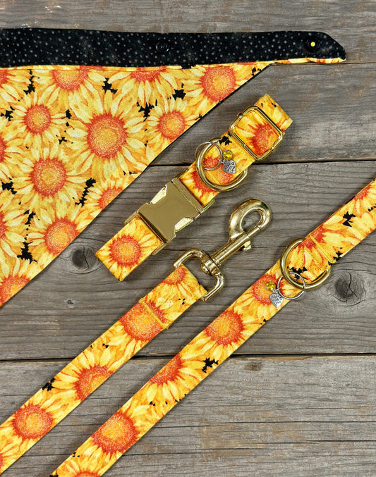 Double-Sided Dog Bandanna - Sunny Days With Coordinating Black and Grey Polka Dots