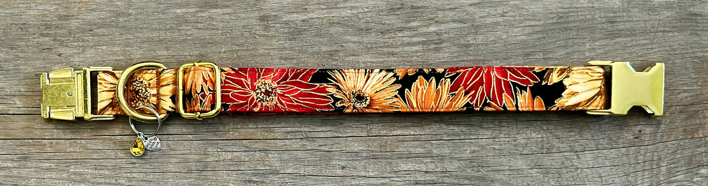 Fields of Gold -Dog Collar