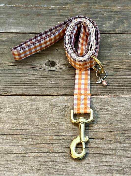 Pumpkin Bumpkin -Dog Leash