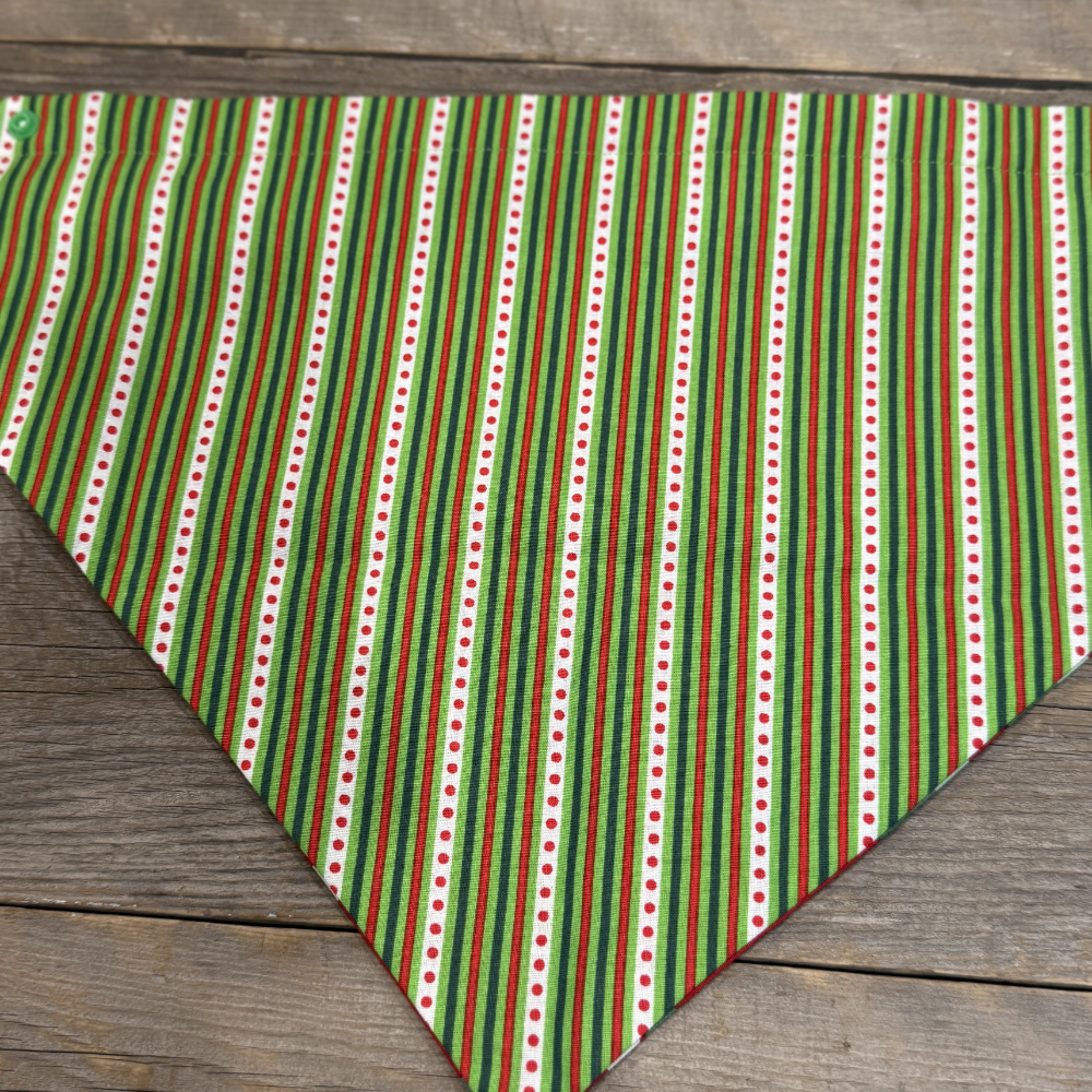 Dog Bandanna - Pop Of Joy and Mischief Maker