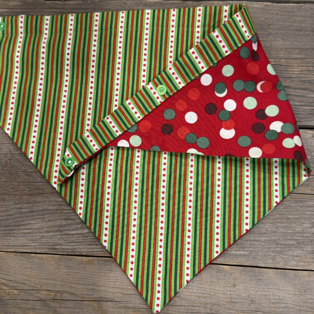 Dog Bandanna - Pop Of Joy and Mischief Maker