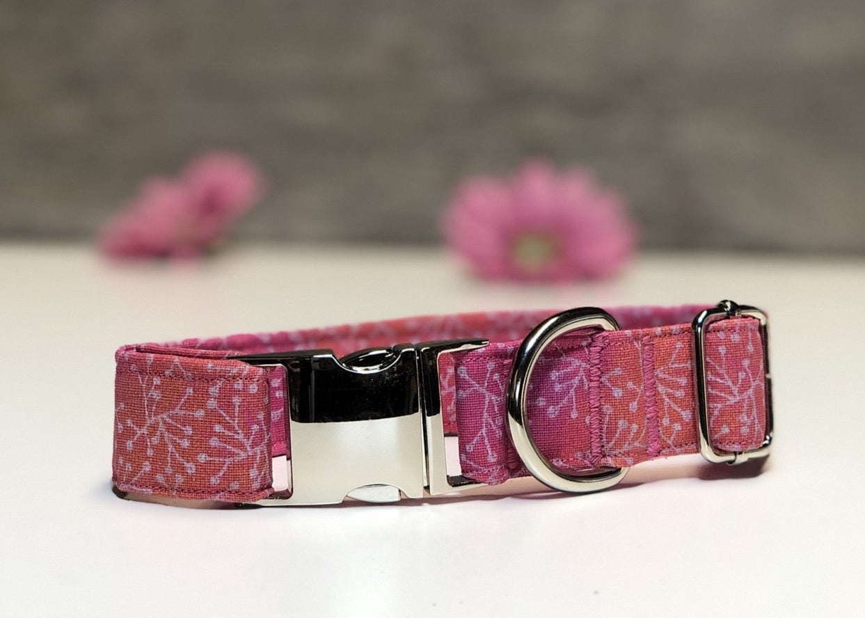 Make a Wish - Dog Collar – TerrifiCollars