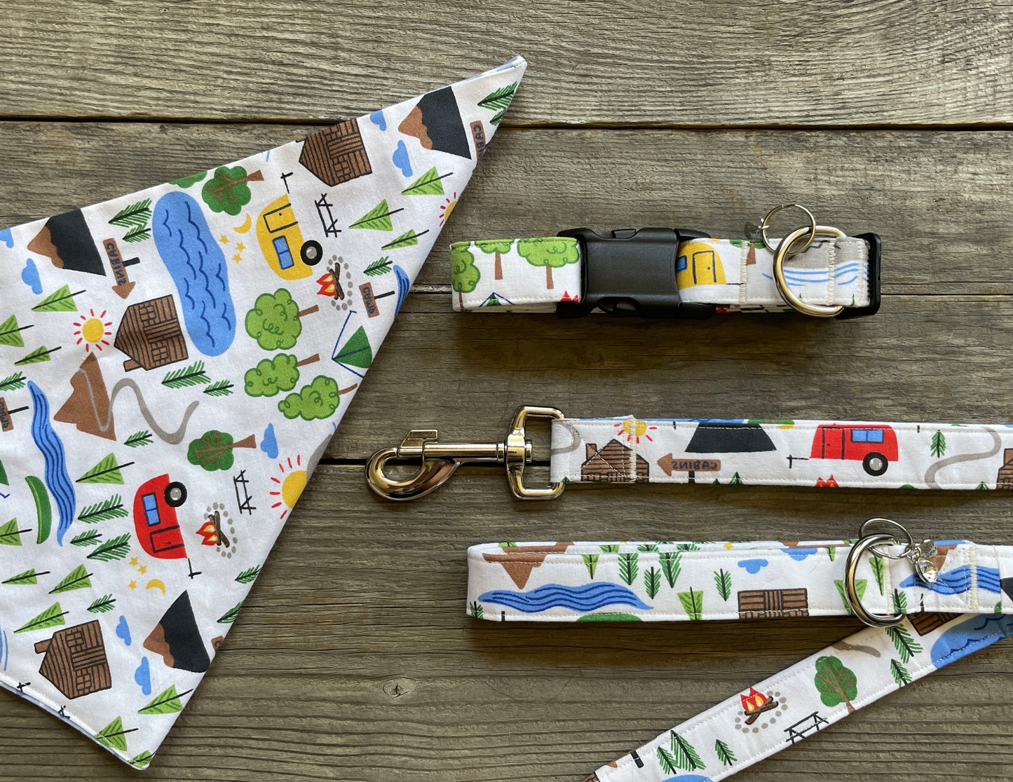 On the Road Again -Dog Leash