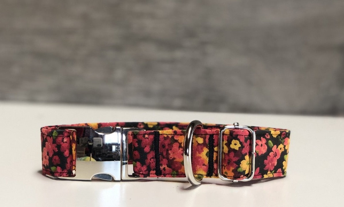 Sierra- Dog Collar