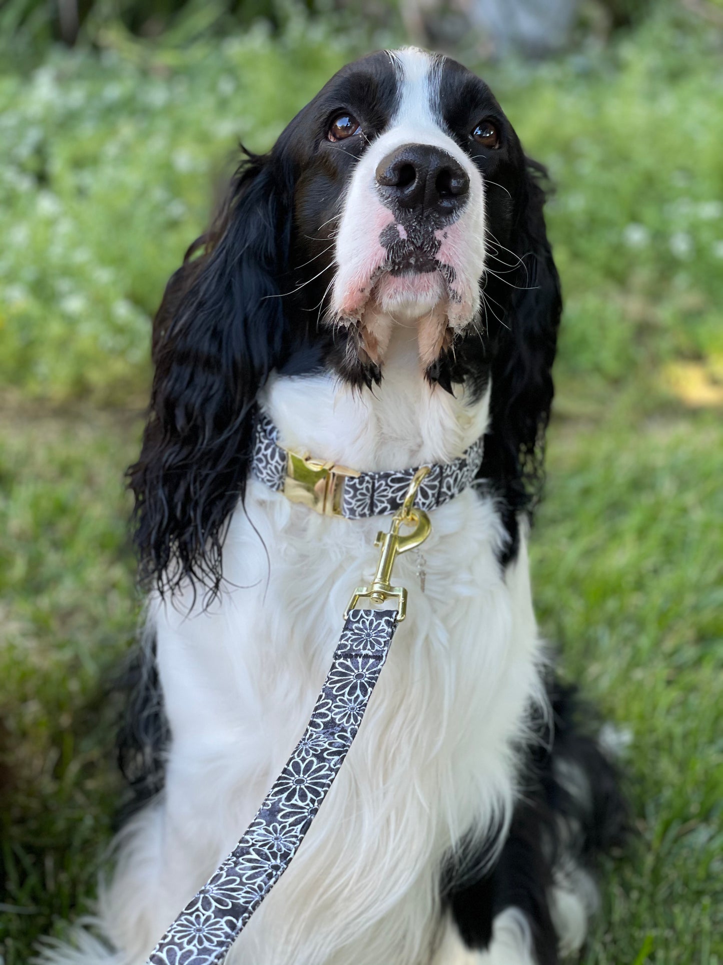 Plumeria -Dog Leash