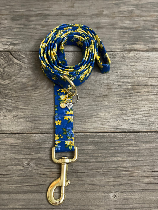 We Stand Together-Dog Leash