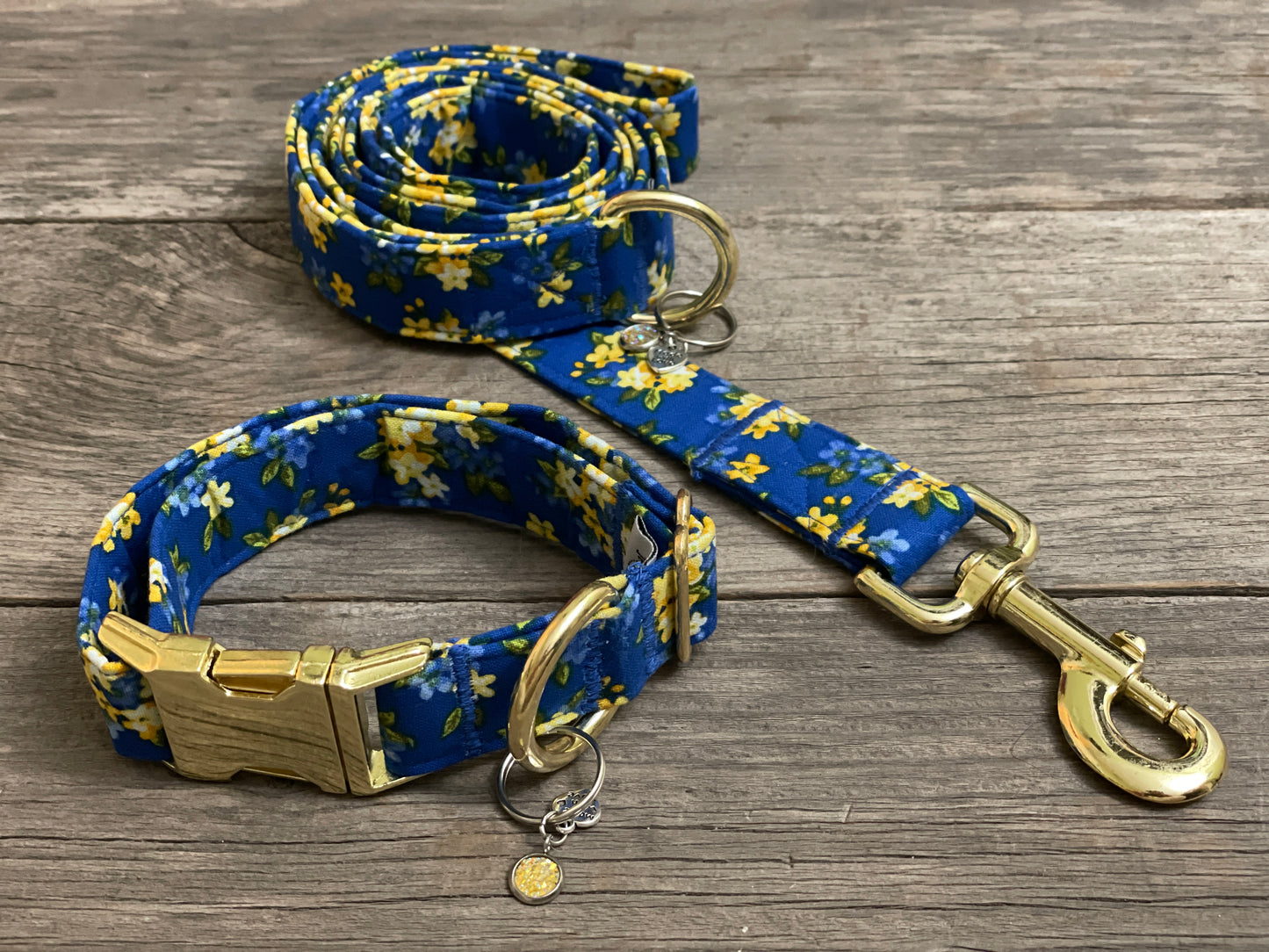 We Stand Together-Dog Leash