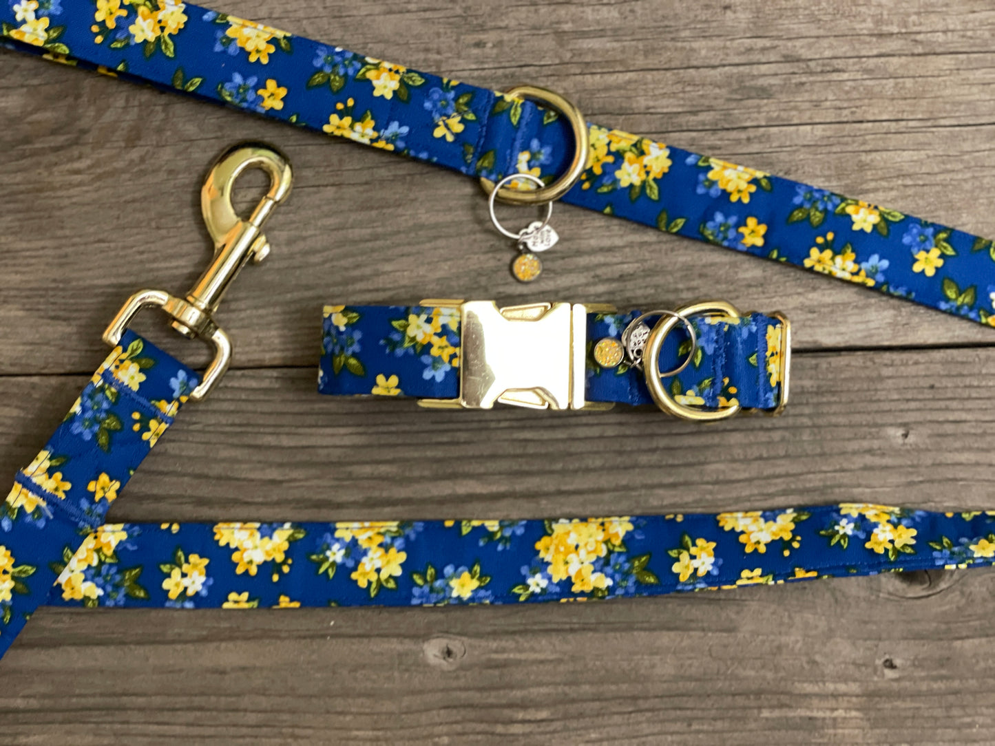 We Stand Together-Dog Leash