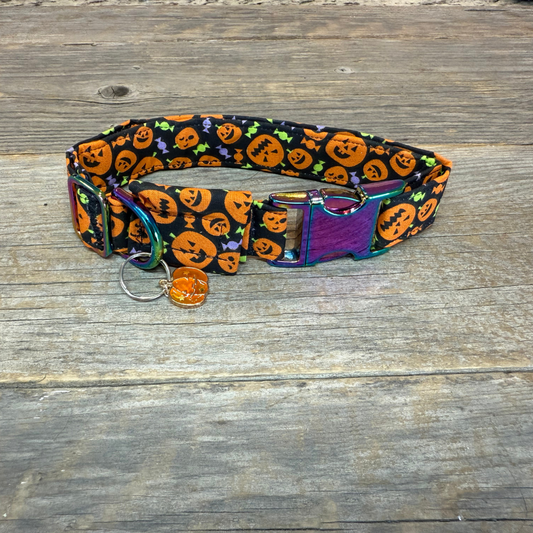Pumpkin Pals -Dog Collar