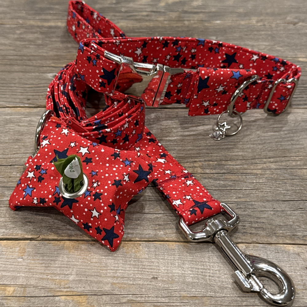 Firecracker -Dog Collar