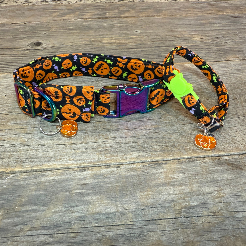 Pumpkin Pals -Dog Collar