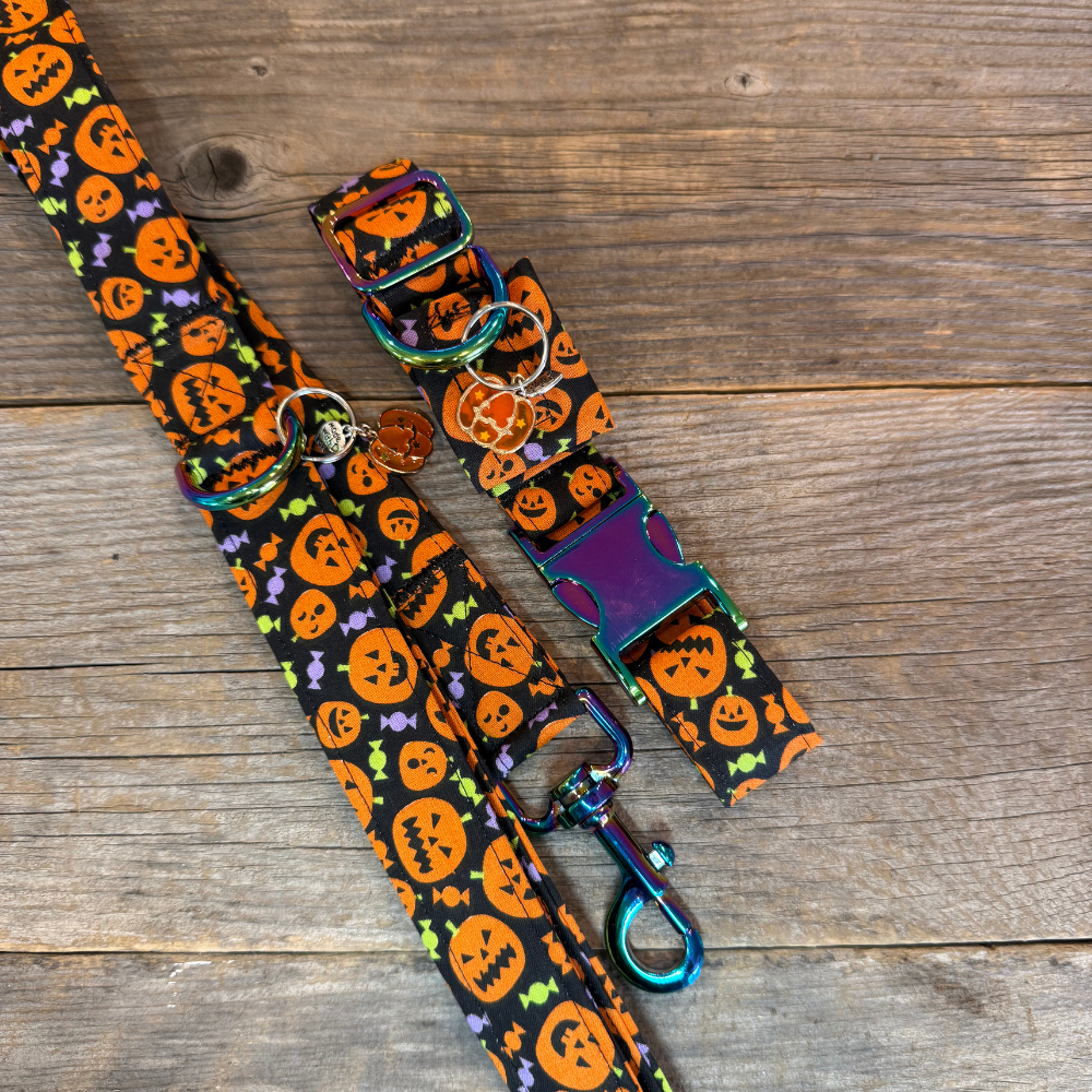 Pumpkin Pals -Dog Leash