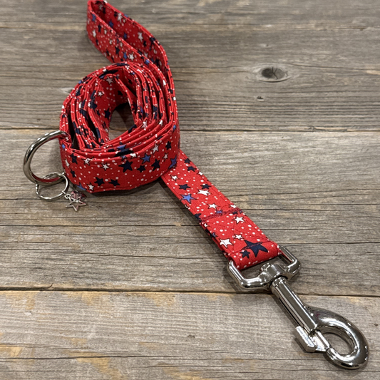 Firecracker -Dog Leash