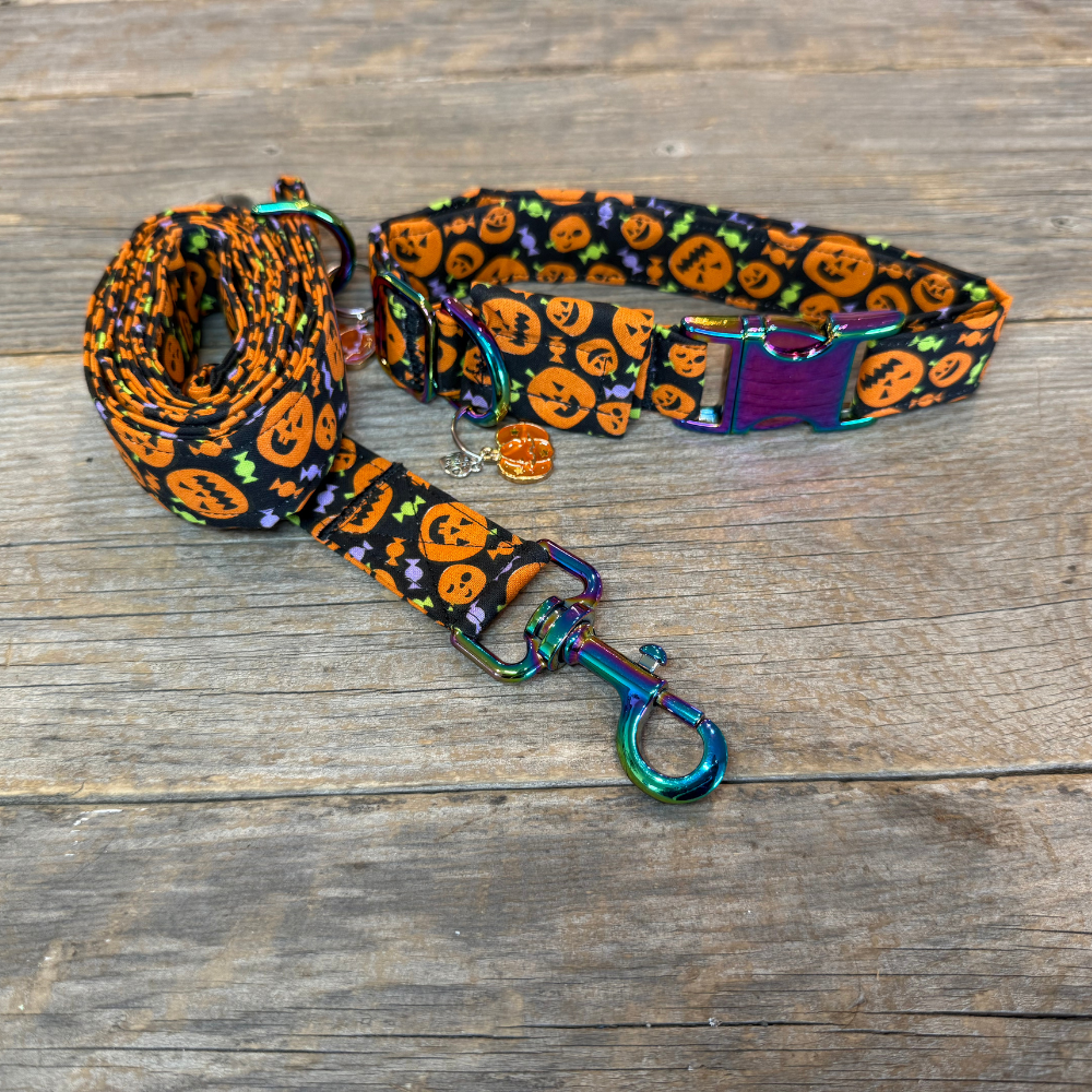 Pumpkin Pals -Dog Collar