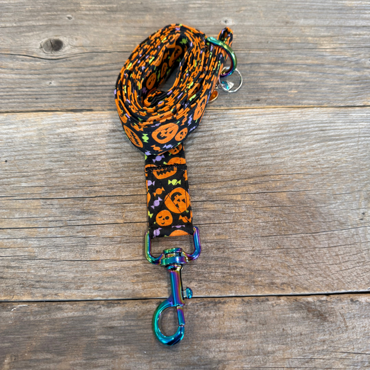 Pumpkin Pals -Dog Leash