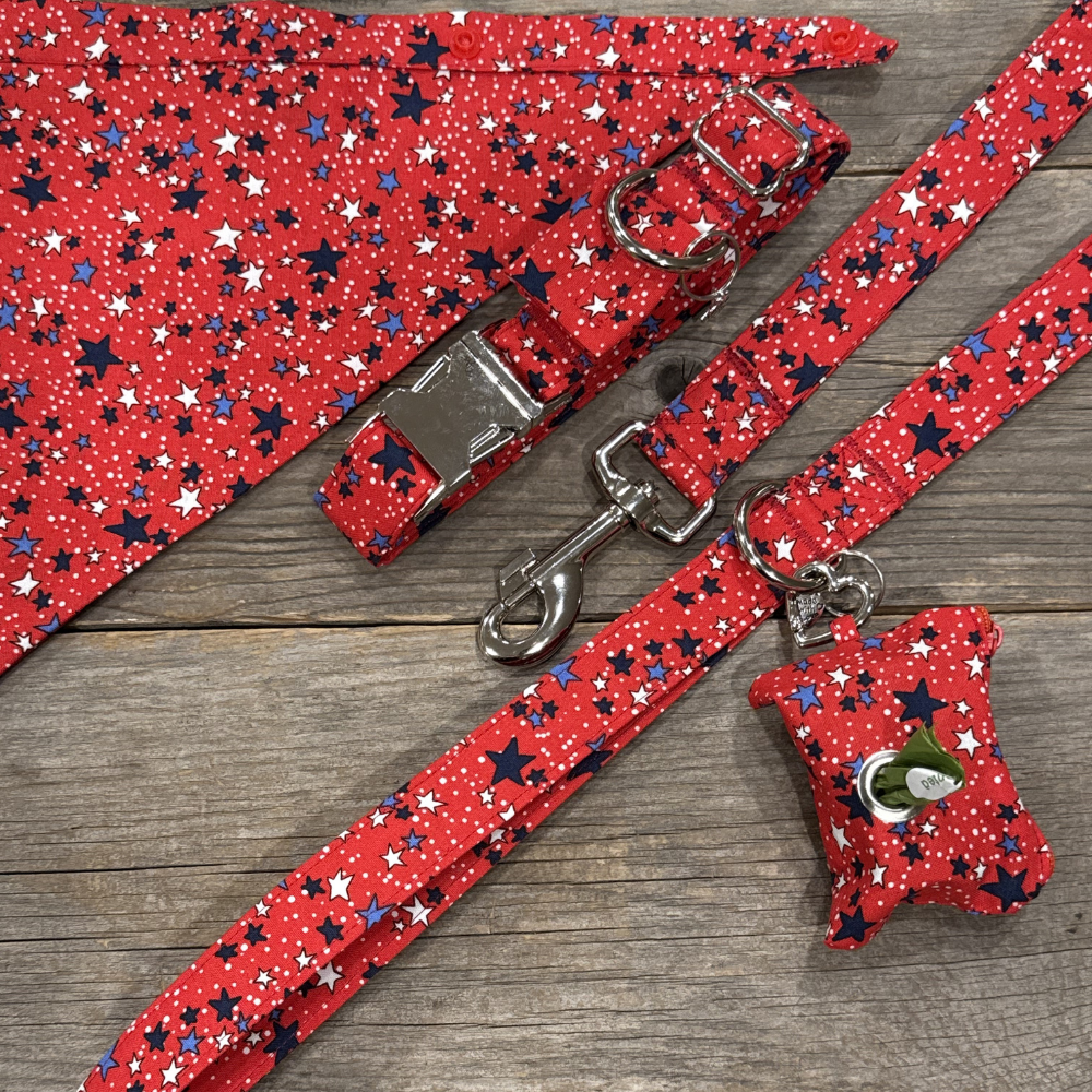 Firecracker -Dog Collar