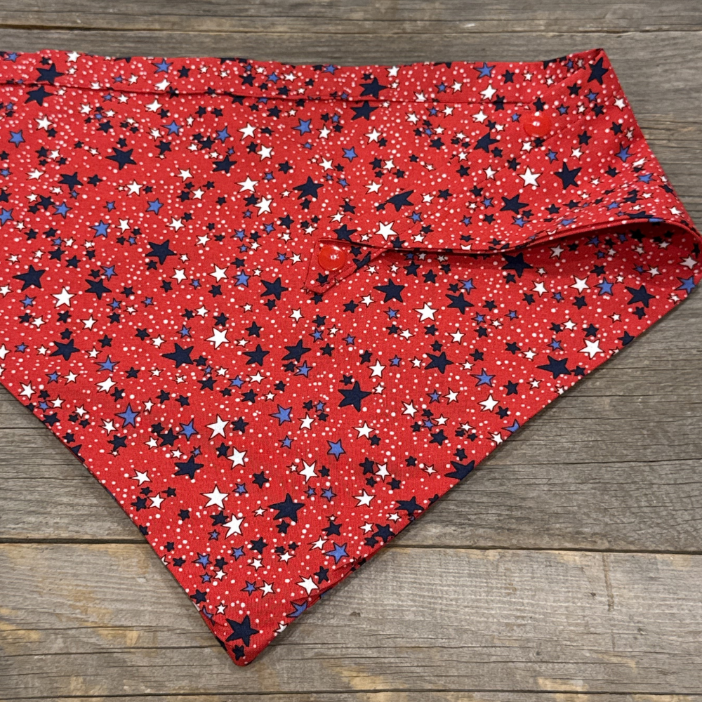 Dog Bandanna double sided -  Firecracker