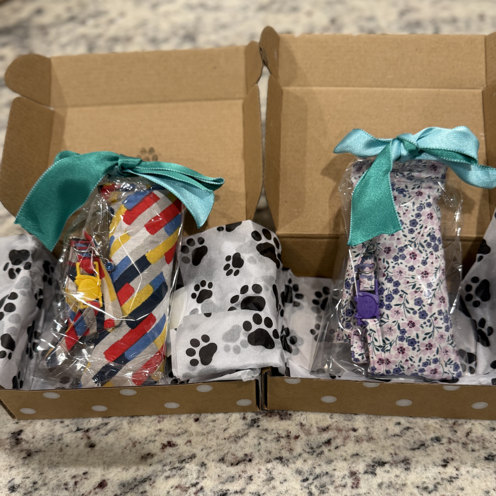 Boy Mystery Box for Cats