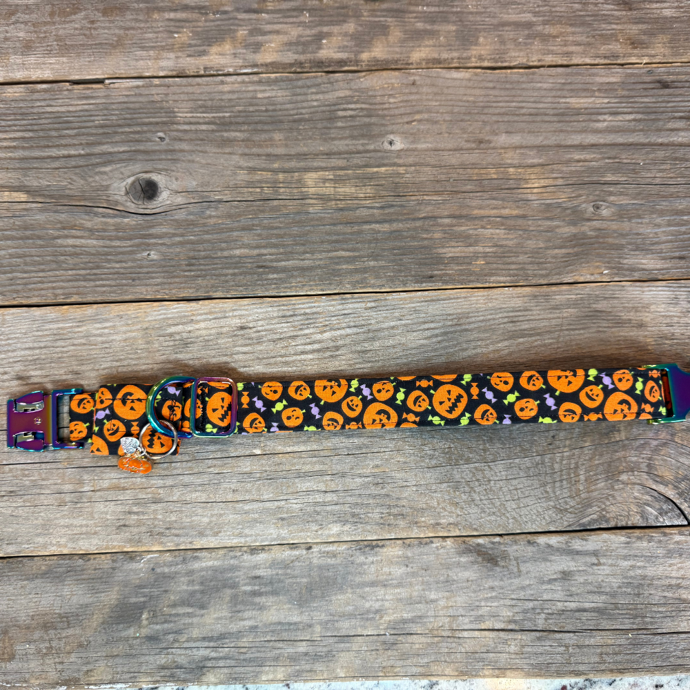 Pumpkin Pals -Dog Collar