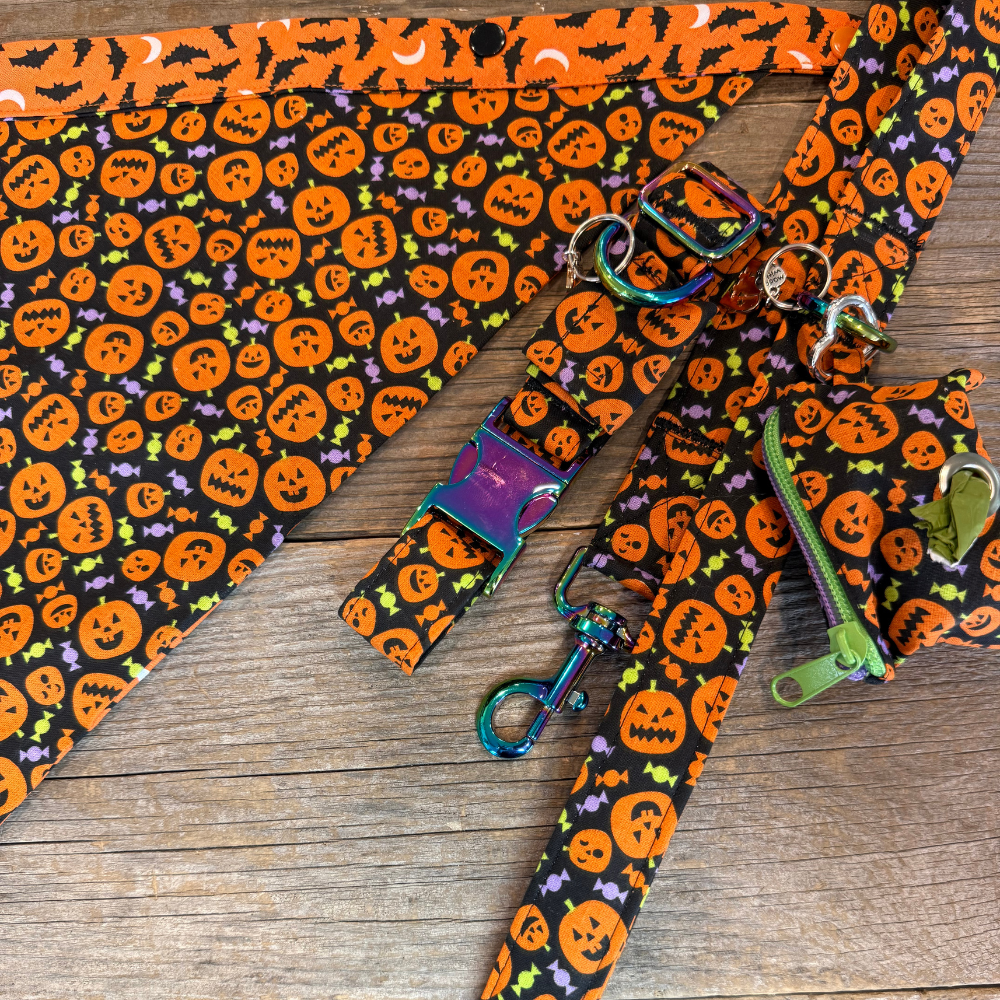 Pumpkin Pals -Dog Leash