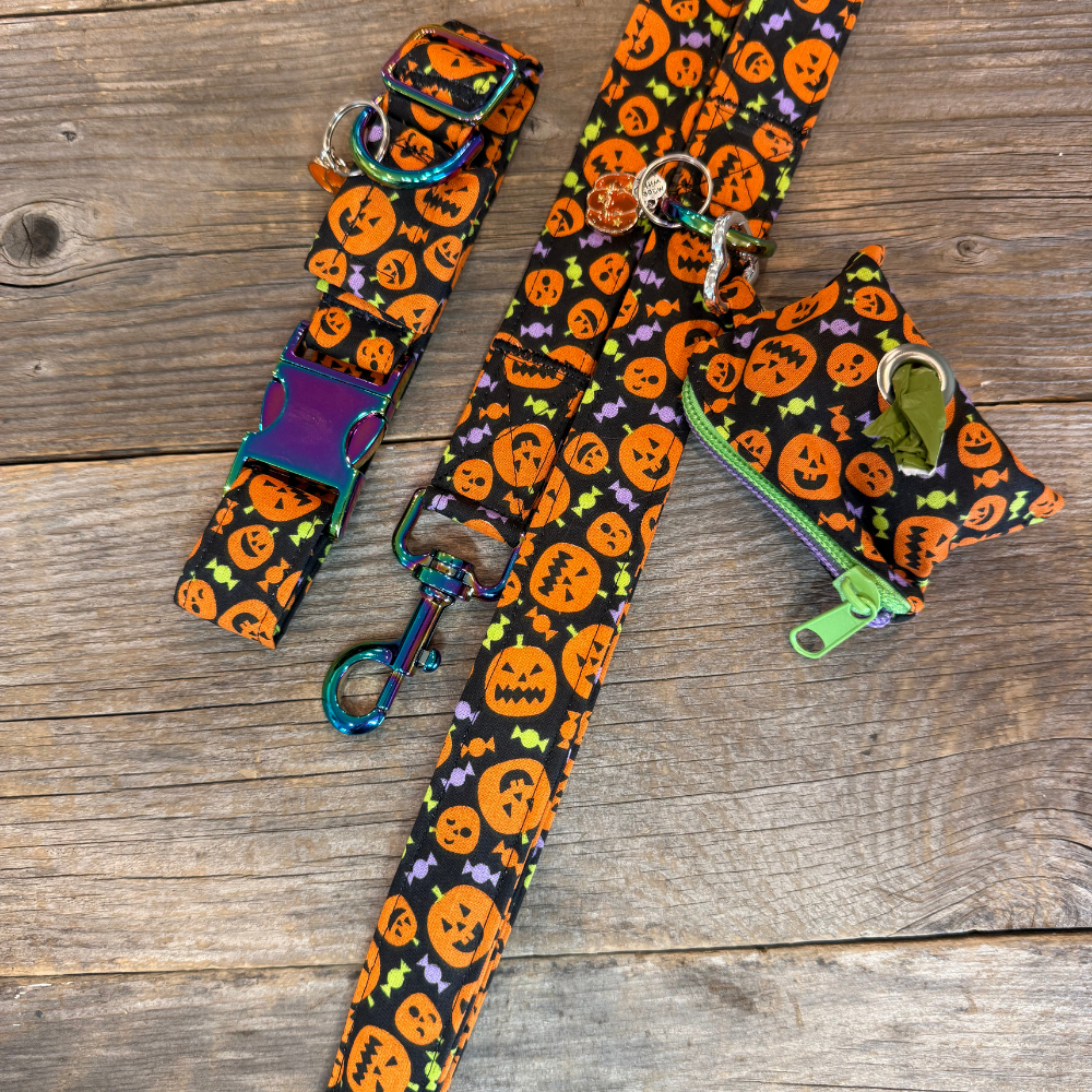 Pumpkin Pals -Dog Leash