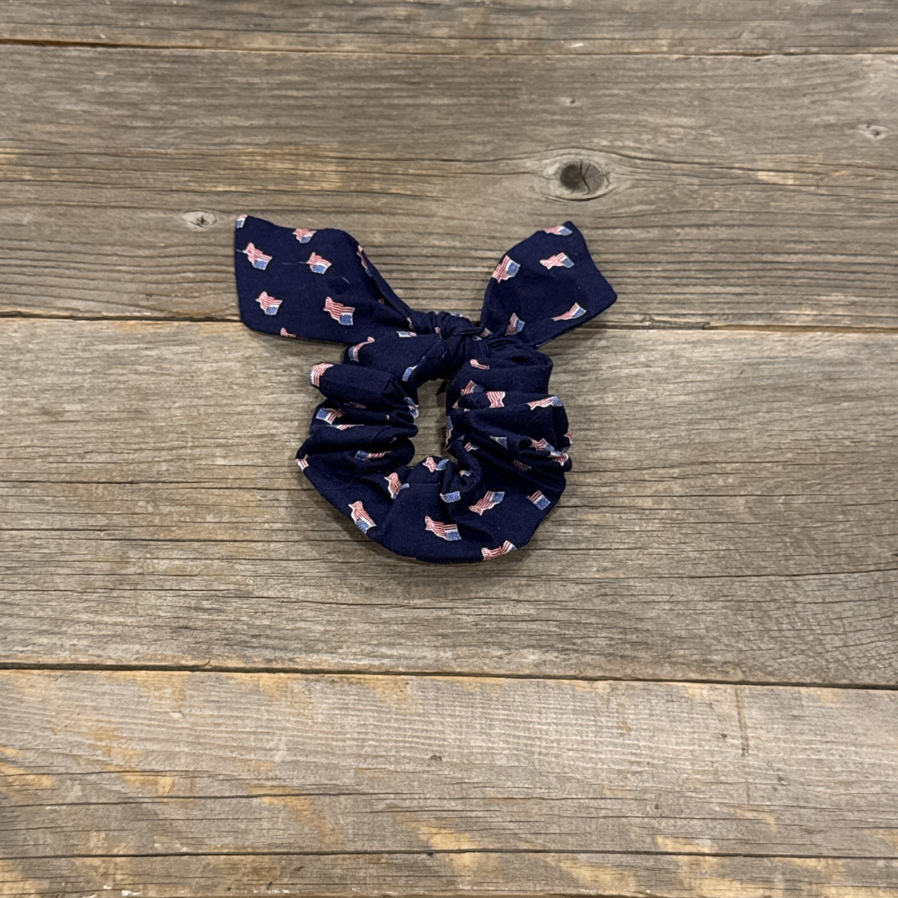 Patriotic Spirit Hair Tie/Scrunchie Set of 4