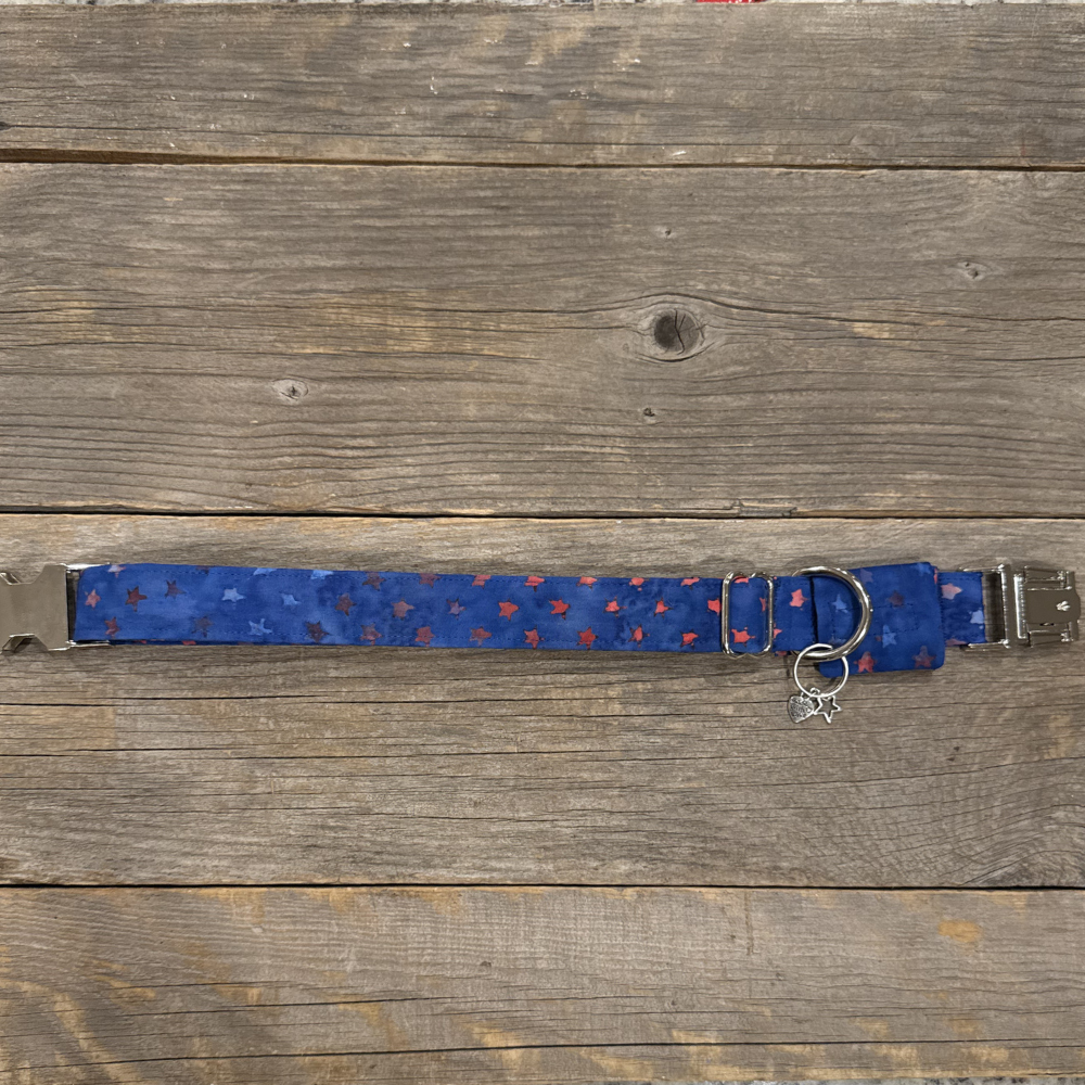 Star Spangled Pup -Dog Collar