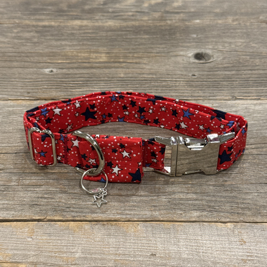 Firecracker -Dog Collar