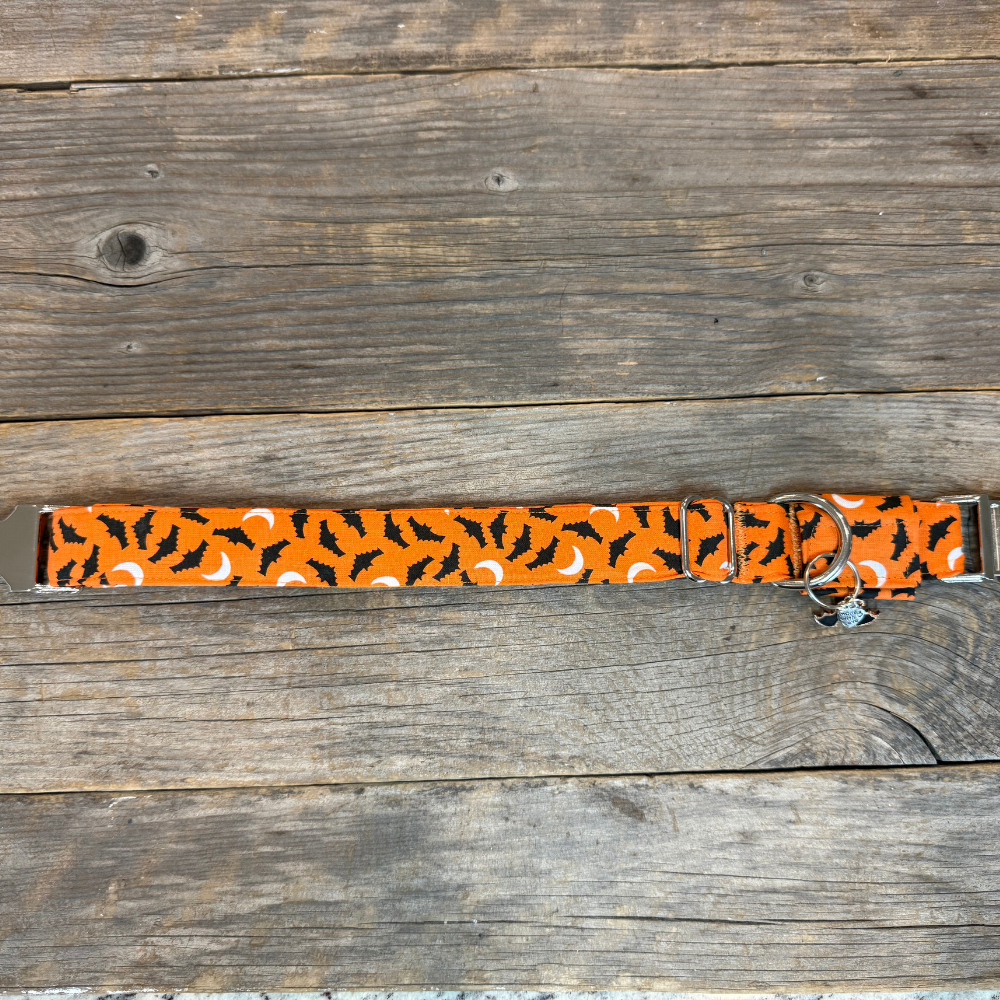 Bat-Tastic-Dog Collar