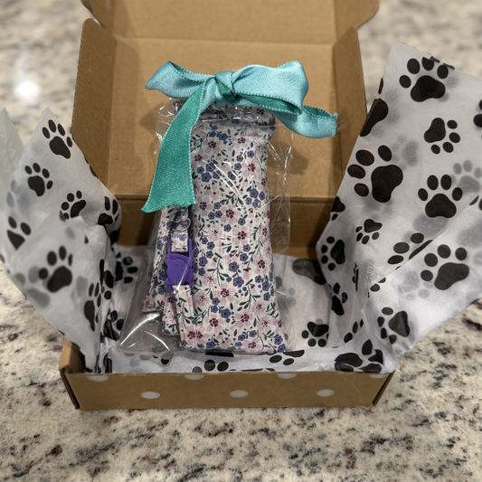 Girl Mystery Box for Cats