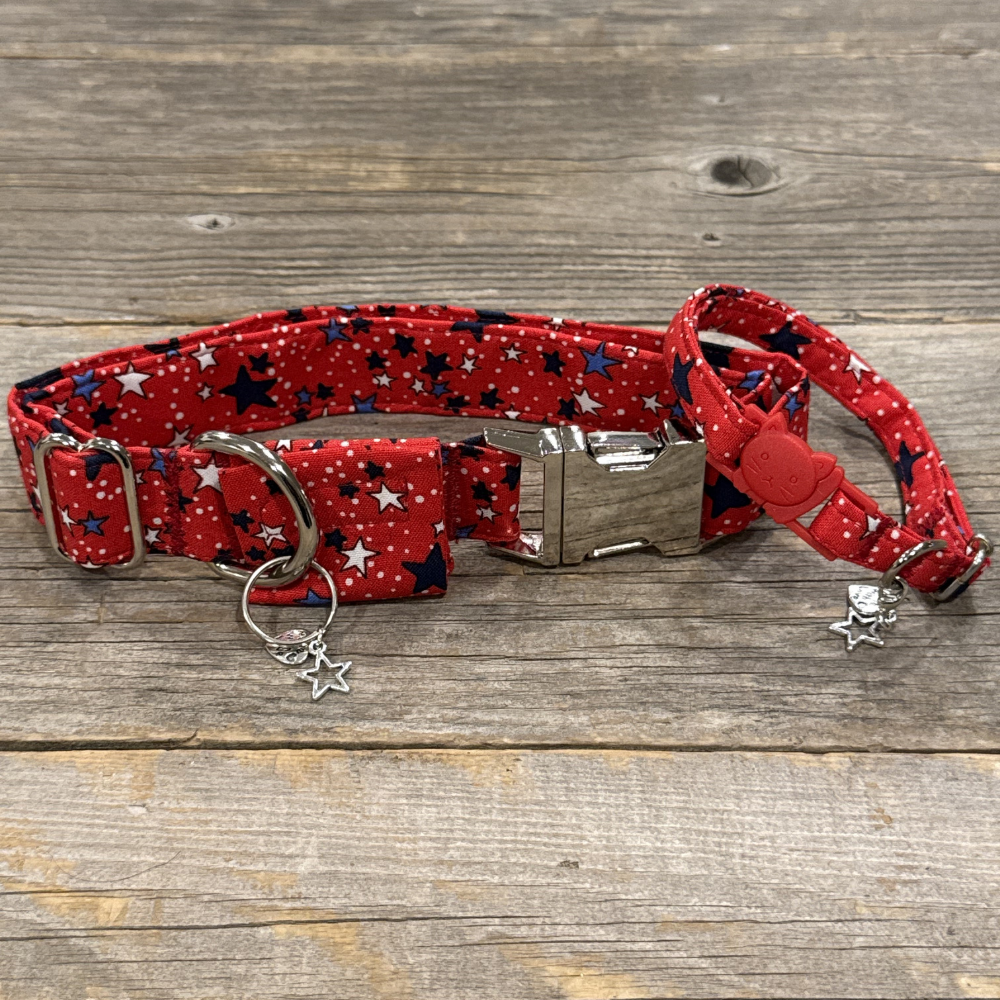 Firecracker -Dog Collar