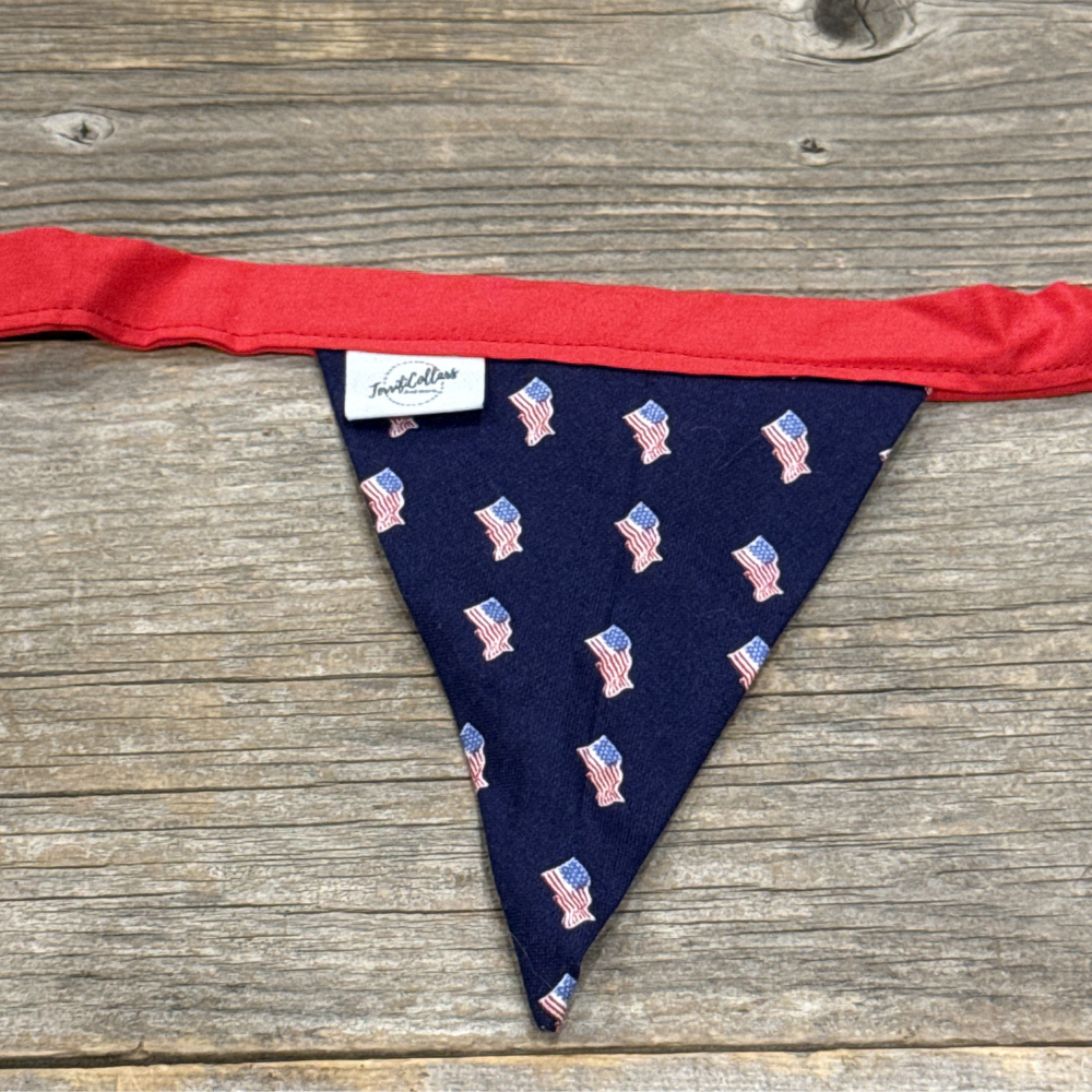 Stars, Stripes & String Lights - Bunting