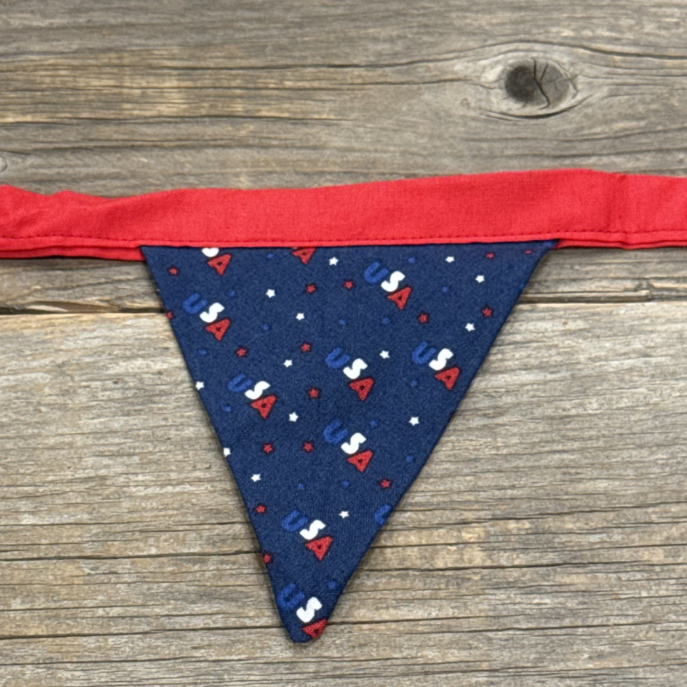 Stars, Stripes & String Lights - Bunting