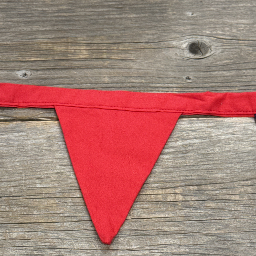 Stars, Stripes & String Lights - Bunting