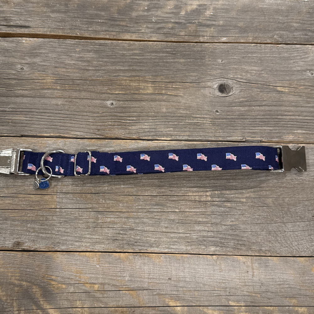 Old Glory -Dog Collar