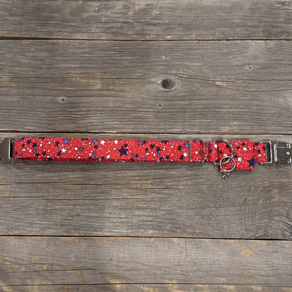 Firecracker -Dog Collar