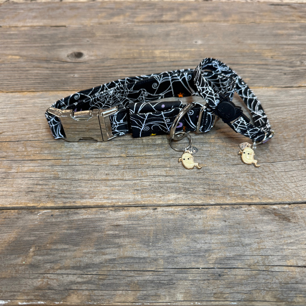 Mystic Webs-Dog Collar